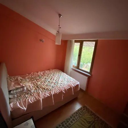 Havalimanina Cok Yakin Villada Arnavutkoy