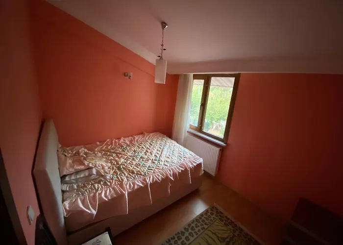 Havalimanina Cok Yakin Villada Arnavutkoy