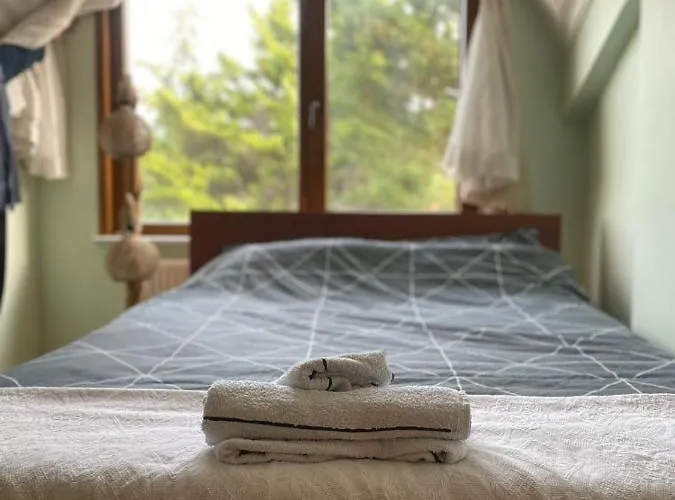 Havalimanina Cok Yakin Villada * Arnavutkoy